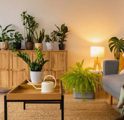 How to Pick the Perfect Upholstery