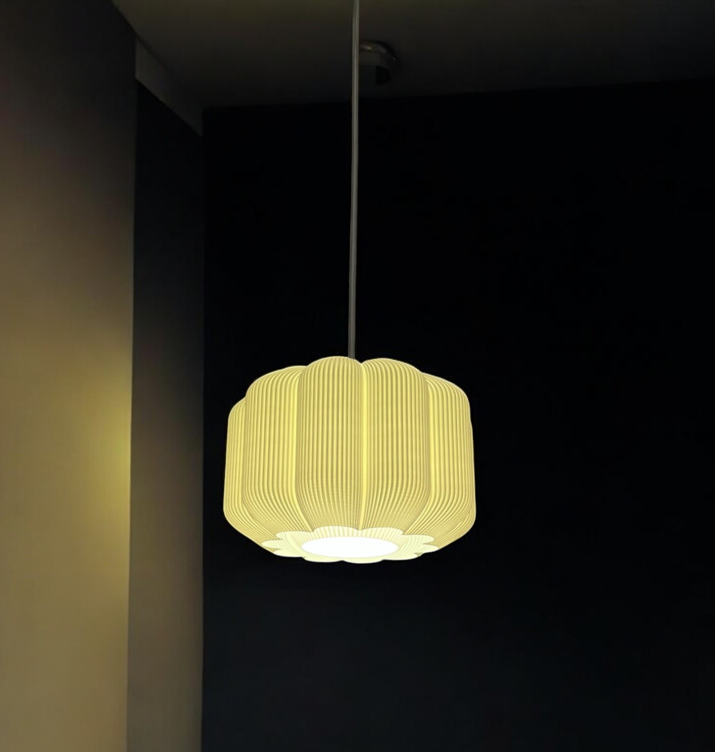 IMG_2977-Photoroom (1)